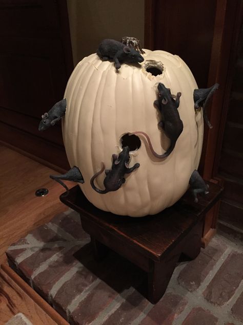 Pumkin Decorate Ideas Scary, Extreme Pumpkin Decorating, Rat Pumpkin Carving Ideas, Rat Pumpkin, Office Pumpkin Carving Contest, Pumpkin Competition, Creative Pumpkin Decorating, Scary Pumpkin Carving, Pumpkin Contest