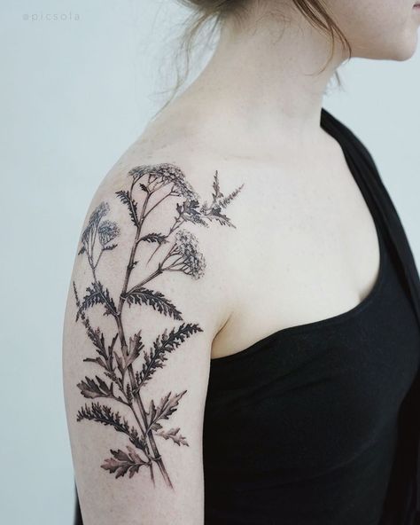 Ola | tattoo artist on Instagram: “Yarrow and mugwort for Alia, thank you! #floraltattoo #blackandgreytattoo #wildflowers” Yarrow Flower Tattoo, Plant Tattoos, Yarrow Plant, Yarrow Flower, Medusa Tattoo Design, Lavender Tattoo, Flower Tattoo Back, Wildflower Tattoo, Tasteful Tattoos