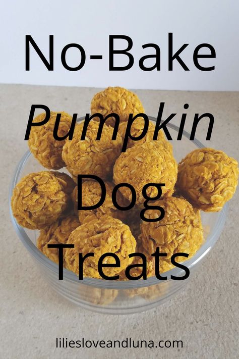 Pumpkin Oat Balls For Dogs, Dog Muffins Recipe Pumpkin, Diy Dog Treats No Peanut Butter, Pumpkin Peanut Butter Dog Treats Recipes, Pure Pumpkin Dog Treats, Puppy Pumpkin Treats, No Bake Pumpkin Treats For Dogs, Diy Pumpkin Treats For Dogs, Soft Pumpkin Dog Treats Recipe