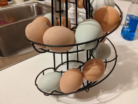 Counter Top Egg Storage, Storing Eggs On Counter, Chicken Eggs Storage, Fresh Eggs Storage, Above The Fridge Ideas, Storing Fresh Eggs, Fresh Egg Storage, Fresh Egg Holder, Above The Fridge