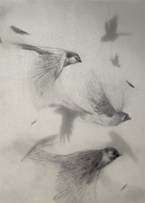 Paintings Of Birds, Bird Paintings, Arte Inspo, A Level Art, Sumi E, Birds Flying, Wildlife Art, Birds Painting, Book Illustration