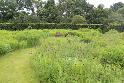 Wild Flower Lawn, Flower Lawn, Border Lines, Prairie Garden, Decking Area, Wild Flower Meadow, Garden On A Hill, Swimming Pond, Grasses Garden