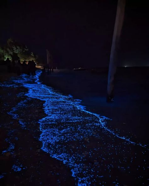 Glowing Plankton Beach, Maldives Glowing Beach, Plankton Beach, Vaadhoo Island, Glowing Plankton, Daughter Of Poseidon, Sea Of Stars, Beach At Night, Lifestyle Aesthetic