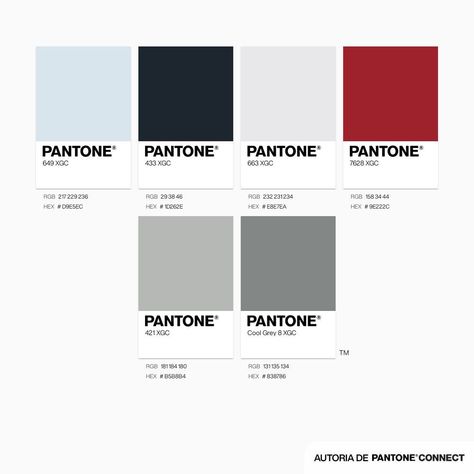 Red Black Blue Color Palette, Pantone Color Chart, Brand Palette, Website Color Palette, Black Color Palette, Grey Palette, Red Color Schemes, Red Colour Palette, Brand Color Palette