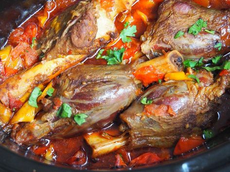 Mexican Slow Roasted Lamb Shanks 5 #NiceLambRecipes Roasted Lamb Shanks, Lamb Shanks Slow Cooker, Slow Roasted Lamb, Mexican Slow Cooker, Low Iodine Diet, Slow Cooker Mexican, Lamb Shank Recipe, Thyroid Recipes, Slow Roast Lamb