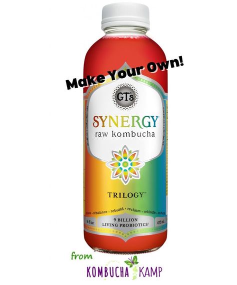 Copycat GT Kombucha Flavors at Home with these Recipes & Tips Gt Kombucha, Pineapple Kombucha, Kombucha Flavors Recipes, Kombucha Mother, Kombucha Recipes, Diy Kombucha, Kombucha Brands, Kombucha Flavors, Kiwi Juice