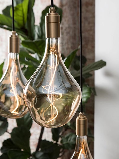 Objet Design, Energy Efficient Lighting, Led Light Bulb, Light Fittings, Lighting Collections, Hand Blown Glass, Home Lighting, Ceiling Pendant Lights, Light Bulbs