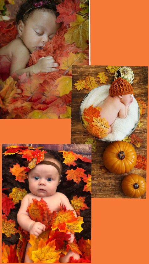 Fall Photoshoot Newborn, Fall Pictures Baby, Fall Newborn Pictures, Fall Newborn, Photoshoot Newborn, 3 Month Old, Fall Photoshoot, Fall Pictures, Newborn Pictures