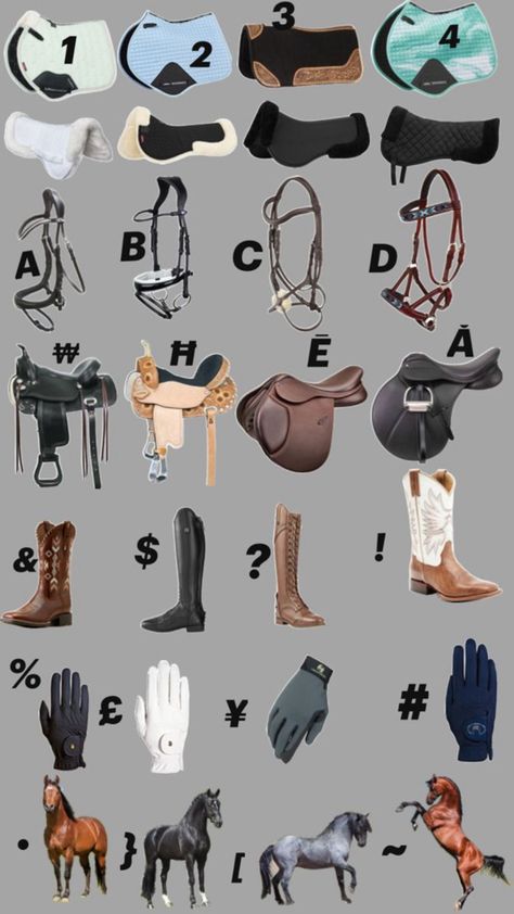 Bits For Horses, Equestrian Style Outfit, Horse Riding Gear, Horse Quotes Funny, Horse Barn Ideas Stables, Horseback Riding Outfits, Horse Riding Outfit, Cool Room Designs, Cute Horse Pictures