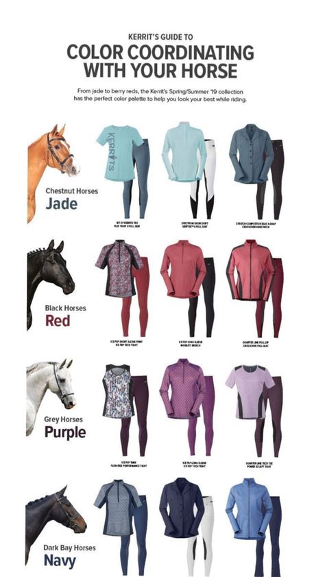 Horse Tack Color Chart, Matching Horse Sets, Horse Tack Colour Chart, Horse Color Chart Tack, Matching Horse Tack, Dragon Riding, Horse Outfits, Horse Art Drawing, Horse Coat Colors