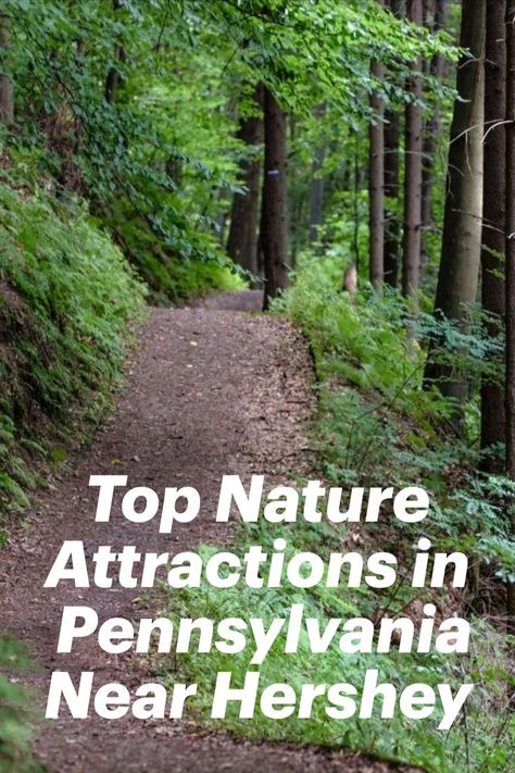 Pennsylvania is home to a plethora of parks and preserves. But if you’re looking to experience the best, we’ve done the research for you. Here are 7 top nature attractions in Pennsylvania near Hershey-Harrisburg. Hershey Park Pennsylvania, Pennsylvania Hikes, Hershey Pennsylvania, Harrisburg Pennsylvania, Hershey Park, Beautiful Parks, Pennsylvania Travel, Harrisburg Pa, Recreational Activities