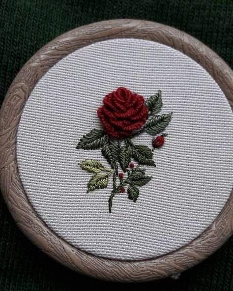 Hand Embroidery Patterns Flowers, Contemporary Embroidery, Hand Embroidery Videos, Handmade Embroidery Designs, Pola Sulam, Hand Embroidery Flowers, Brazilian Embroidery, Creative Embroidery, Embroidery On Clothes