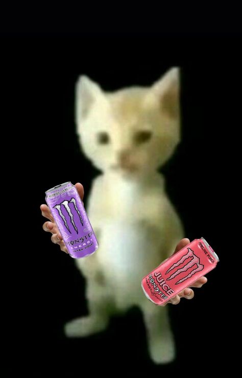 Sprite Cranberry, Cursed Cat, Monster Energy Drink, Cat Icon, Funny Profile Pictures, Monster Energy, Silly Cats, Cat Pics, Reaction Pictures