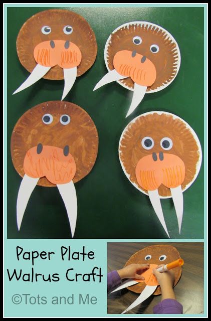 Walrus Craft For Toddlers, Walrus Craft, Winter Igloo, Arctic Animals Preschool, Homeschooling Science, Ocean Mammals, Arctic Animals Crafts, Winter Animal Crafts, Preschool Ocean