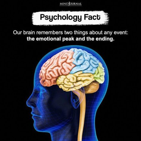 Our brain remembers two things about any event: the emotional peak and the ending. Psychology Facts Quotes, Interesting Facts Quotes, Quick Facts Quotes. Human Brain Facts, Real Brain, Psychology Humor, Physiological Facts, Filmmaking Cinematography, Psychological Facts Interesting, Forensic Psychology, Brain Facts, Medical Student Study