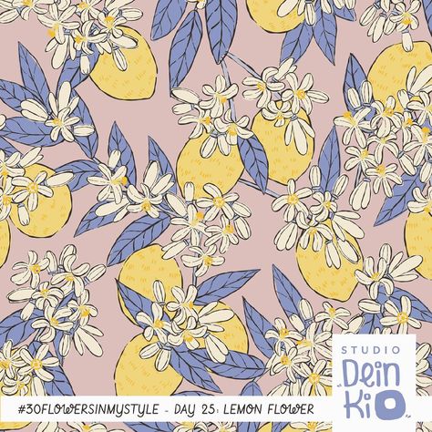 Okay, this one was a surprise for me while researching for new prompts for the #30FlowersInMyStyle2024 floral pattern design challenge: I thought this flower would be native to the Mediterranean region BUT actually, the exact origin of the Lemon is uncertain. Suggestions are that it originated in the Punjab region of Pakistan and India, or the eastern Himalayan region of southern China and upper Myanmar. The lemon was already known in China about 500 BC and reached Europe around AD 1000-1200... Floral Pattern Design, Design Challenge, The Mediterranean, Design Challenges, Himalayan, Myanmar, Nativity, Pakistan, Floral Pattern