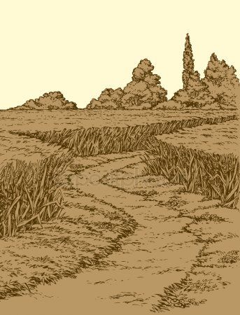 Vector summer landscape. A dirt path through fields of wheat - Stock Vect , #Aff, #landscape, #dirt, #Vector, #summer #AD Wheat Drawing, Fields Of Wheat, Pen On Paper, Doodle Style, Wheat Fields, Image Vector, Evening Sky, Summer Landscape, Ap Art