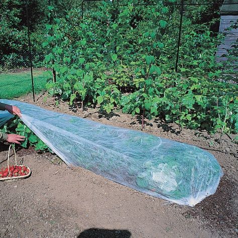 Wide Range of Efficient Garden Netting and Fleece Fruit Cages, Seasonal Gardening, Garden Plant Supports, Fruit Cage, Garden Netting, Garden Screening, Garden Arches, Plant Protection, Seasonal Garden