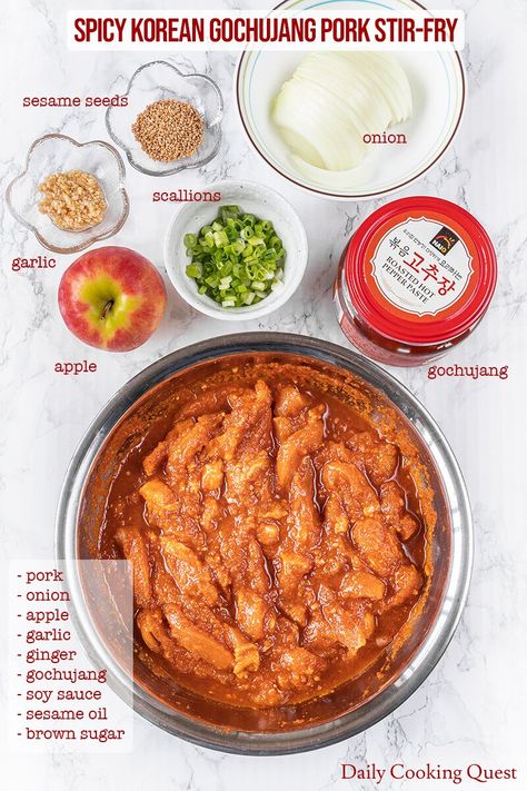 Spicy Korean Gochujang Pork Stir Fry Recipe | Daily Cooking Quest Gochujang Pork, Pork Stir Fry Recipes, Stir Fry Sauce Recipe, Korean Chili, Korean Chili Paste, Korean Pork, Toasted Sesame Oil, Pork Stir Fry, Gluten Free Chili