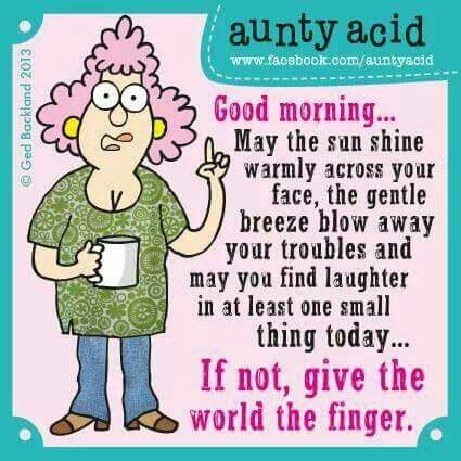 Aunt Acid, Auntie Quotes, Writing Romance Novels, Senior Humor, Acid Rock, Jokes In Hindi, Twisted Humor, Women Humor, Good Morning Good Night