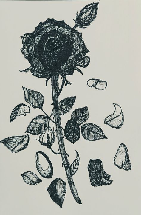 Falling Down Drawing, Black Rose Drawing, Petals Drawing, Petals Falling, Withered Rose, Falling Petals, White Petals, Rose Drawing, Natural Forms