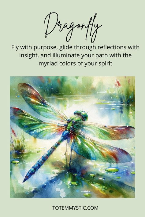 The spiritual meaning of the dragonfly symbolizes transformation and the ability to adapt with grace. #spirit animal #spiritual meaning #totem #power animal Red Dragon Fly Spiritual Meaning, Dragonfly Spirit Animal, Dragonfly Meaning Spiritual, Spiritual Animals, Dragonfly Meaning, Dragonfly Symbolism, Spirit Animal Meaning, Kids Lying, Animal Meanings