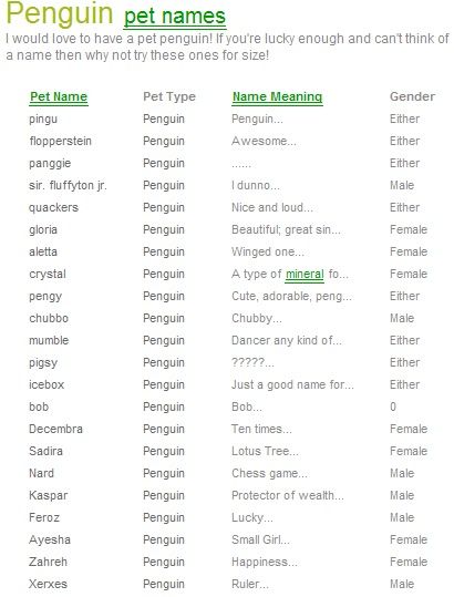 Penguin4evers: Pet Penguin Names Pet Penguin, Penguin Names, Cute Pet Names, Cute Names For Dogs, Cute Names, Names With Meaning, Pet Names, Penguins, Pet Toys