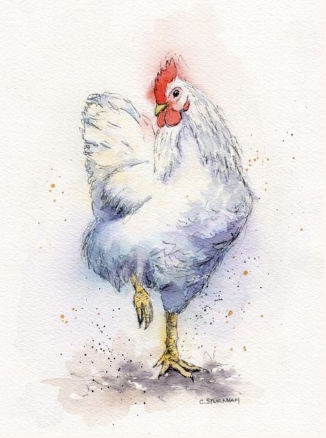 Watercolor Chickens, Chicken Painting Acrylic, Chicken Watercolor, Chicken Sketch, Stella Art, Chicken Drawing, Farm Animal Paintings, Rooster Painting, Chicken Painting