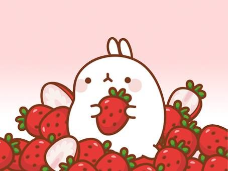 Molang strawberry feast