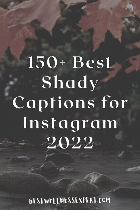 150+ Best Shady Captions for Instagram 2022 Shady Ex Instagram Captions, Shade Captions For Instagram, Shady Captions For Fake Friends, Throwing Shade Captions For Instagram, Shady Ig Captions, Shady Captions About Exes, Throw Back Caption, Shady Instagram Captions, Shady Captions For Instagram