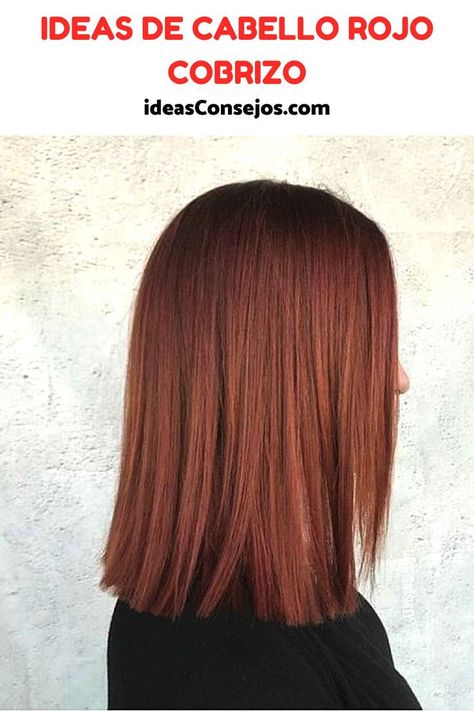 Cabello Rojo Cobrizo (rojizo), ya sea natural o en colores fantasía, nos encanta. Si ronda por tu cabeza la idea de dejar de ser morena o rubia para, probar con un look pelirrojo, estás en el lugar indicado. Long Hair Styles, Hair Styles, Hair, Beauty