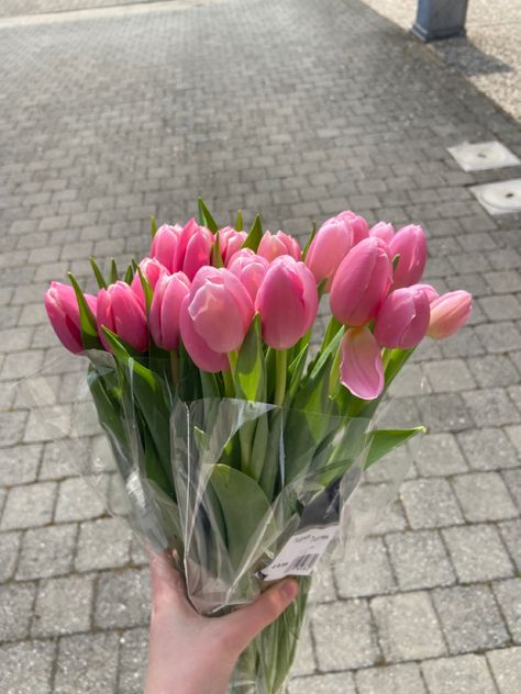 Cheap Aesthetic, Photos With Flowers, Pink Tulips Bouquet, Aesthetic Valentines, Boquette Flowers, Tulip Bouquet, Nothing But Flowers, Flower Therapy, Beautiful Bouquet Of Flowers