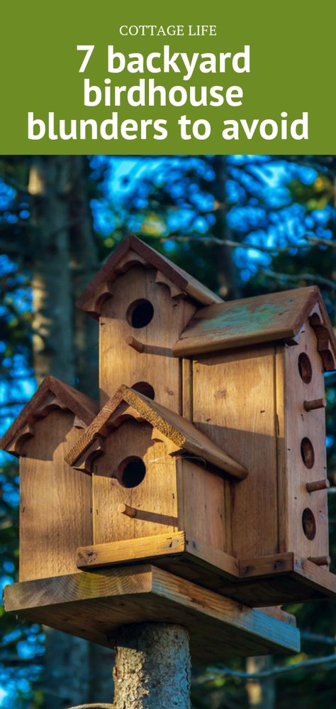 Birdhouse Landscaping Ideas, Outdoor Bird Houses Backyards, Bird House Mounting Ideas, Backyard Birdhouse Ideas, Birdhouses On Fence, Bird Condo Birdhouses, Bird Houses In The Garden, Birdhouse Designs Bird House Plans, Multiple Birdhouses On A Post