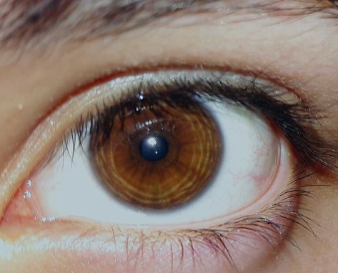 Bathroom Paintings, Yellow Green Eyes, Honey Eyes, Brown Eyes Aesthetic, Eyes Aesthetic, Color Eyes, Amber Eyes, Eyes Color, Photos Of Eyes