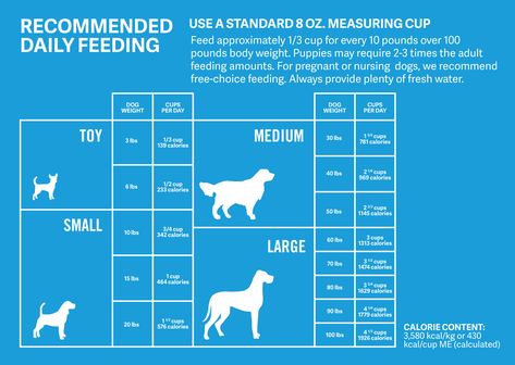 How Much Should Dogs Eat? | Calculate How Much to Feed Your Dog | petMD Dog Feeding Schedule, Puppy Feeding Schedule, Make Dog Food, Food Chart, Food Dog, Dog Nutrition, Dog Diet, Healthy Dog Food Recipes, Best Dog Food