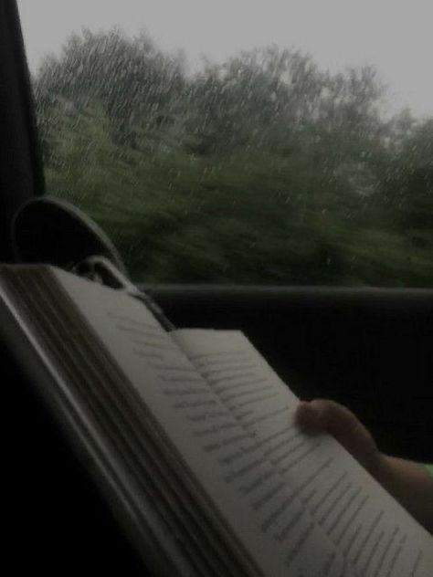 An Open Book, On A Rainy Day, Open Book, A Rainy Day, Rainy Day, A Car, A Book, Trees