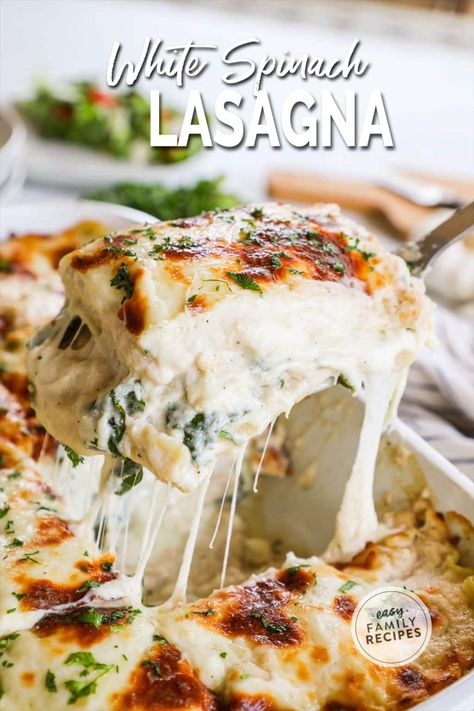 Easy White Lasagna with Spinach Recipe: Looking for an easy pasta dinner that's sure to please? This lasagna casserole is the answer! Layers of creamy sauce and spinach make for a comforting and delicious meal. The secret to this recipe is the white sauce, which is made with a blend of butter, flour, milk, and Parmesan cheese. The garlic white sauce is absolutely delicious. The spinach adds a bright pop of color and freshness to the dish, making it a feast for the eyes as well as the taste ... Garlic White Sauce, White Lasagna Recipe, White Sauce Lasagna, Lasagna With Spinach, Spinach Casserole Recipes, White Lasagna, Sausage Lasagna, Spinach Casserole, Lasagna Casserole