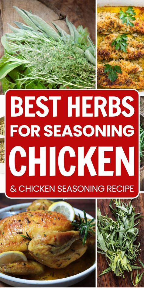 Best herbs for seasoning chicken and chicken seasoning recipe collage with various herbs and cooked chicken dishes. Savory Chicken Seasoning, Mixed Herbs Recipe, Spices For Chicken, Best Chicken Seasoning, Seasoning For Chicken, Herby Chicken, Chicken Seasoning Mix, List Of Herbs, Herbs For Chickens