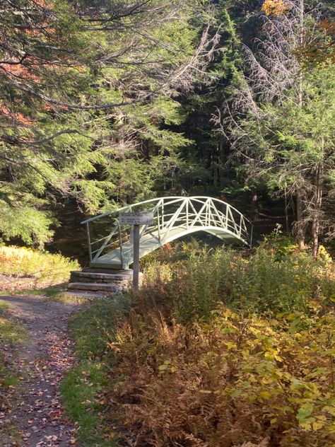 Spring Forest Aesthetic, Forest Bridge, Aesthetic Bridge, Park Aesthetic, Bridge In Forest, Forest Glade Aesthetic, Abandoned Bridge Aesthetic, Forest Bridge Aesthetic, Small Bridge Over Stream