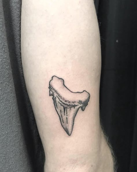 Dog Tooth Tattoo, Shark Aesthetic Tattoo, Bull Shark Tattoo, Shark Tooth Tattoo Design, Fine Line Shark Tooth Tattoo, Tiger Shark Tooth Tattoo, Shark Leg Tattoo, Shark Tattoo Simple, Shark Bite Tattoo