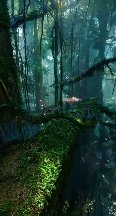 Avatar Wallpaper Fairies Movie, Avatar Wallpaper, Planet Project, Blue People, Avatar Fan Art, Pandora Avatar, Avatar Movie, Avatar World, 1% Wallpaper