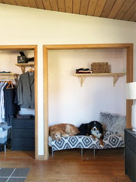 build a DIY raised dog bed Raised Dog Kennel, Diy Raised Dog Bed, Diy Dog Gate, Bed Fan, Raised Dog Bed, Dog Closet, Big Dog Beds, Raised Dog Beds, Dog Bedroom