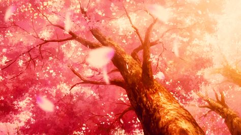 Absolute Duo: Sakura | Scenery Anime Cherry Blossom, Absolute Duo, Gif Background, Animated Banners, Dc Icons, Cute Headers, Sakura Tree, Banner Gif, Rose Trees