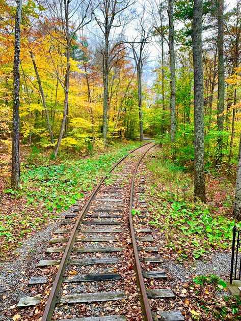 Top 5 Things to do in Manchester, Vermont - Lyssy in the City Manchester Vermont Fall, Things To Do In Manchester, Vermont Trip, Manchester Vermont, Manchester Vt, Visit Manchester, Vermont Vacation, Vermont Fall, Travel Wishes