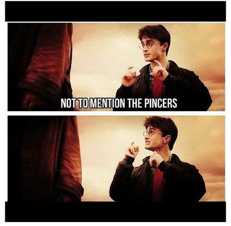 "Not to mention the pincers", Harry Potter and the halfblood prince Ron Y Hermione, Liquid Luck, Felix Felicis, Glume Harry Potter, Harry Potter Memes Hilarious, Yer A Wizard Harry, Theme Harry Potter, Harry Potter Headcannons, Harry Potter Jokes