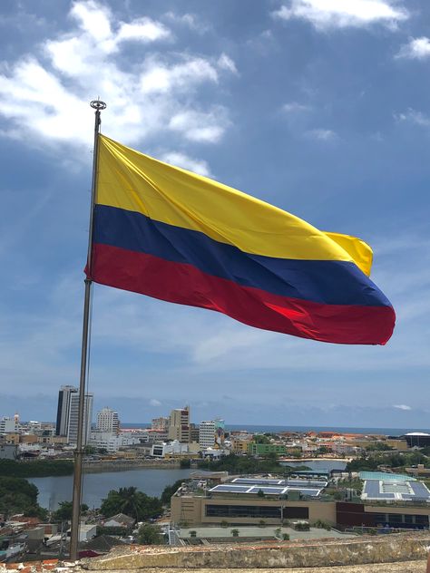 Columbian Flag, Meat Aesthetic, Flag On Wall, Colombia Country, Colombian Flag, Colombia Flag, Colombian Culture, Fresh Meat, South America