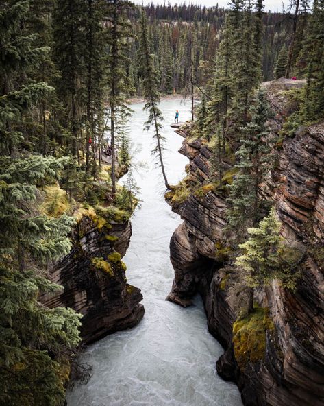 Lakes In Canada, Icefield Parkway, Lake Agnes, Johnston Canyon, Maligne Lake, Icefields Parkway, How To Walk, Cold Weather Camping, Moraine Lake