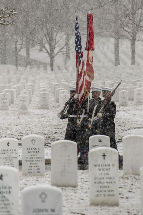 Snow Falling, Arlington National Cemetery, I Love America, Semper Fi, American Flags, National Cemetery, Military Love, A Flag, Us Marines