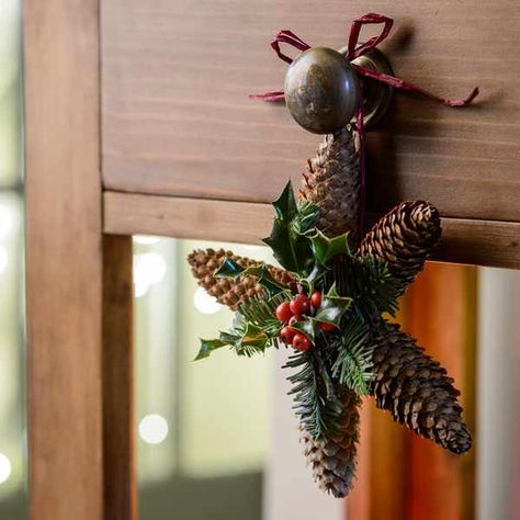 Star Garland Diy, Delosperma Cooperi, Diy Christmas Door Decorations, Diy Christmas Door, Gardeners World, Pine Cone Art, Diy Pinecone, Cones Crafts, Pine Cone Crafts