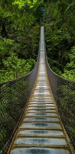 Suspension Bridge Vancouver, Lynn Canyon Suspension Bridge, Summer Places, Stanley Park Vancouver, Lynn Canyon, Golden Bridge, Stanley Park, Canada Road Trip, Travel Canada